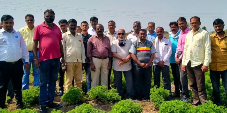 संघर्ष एग्रो कडून आयोजित कार्यशाळेत शेतकऱ्यांसाठी जेरेनियम शेतीचे मार्गदर्शन