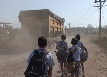 जिल्हाधिकारी साहेब धुळी पासून मुक्त करा हो…!
