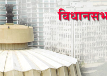 विधानसभा इतर कामकाज