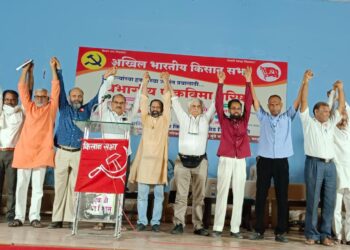 पीक विमा योजना कॉर्पोरेट कंपन्यांच्या नफ्यासाठीच – पी. साईनाथ