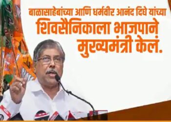 देवेंद्र फडणवीस यांनी केलेल्या त्यागाचा भाजपाला अभिमान