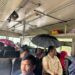 गडचिरोलीत एसटींची दुरावस्था, पहिल्याच पावसात एसटीमध्ये जलधारा; छत्री डोक्यावर धरत प्रवास करण्याची वेळ