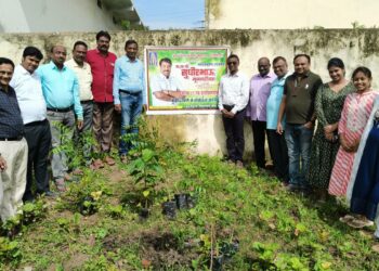 ना.सुधीर मुनगंटीवारांच्या वाढदिवसानिमित्य वृक्षारोपण