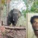 ‘त्या’ रानटी हत्तीने घेतला आणखी एक बळी; तेलंगाणानंतर महाराष्ट्रातही दहशत