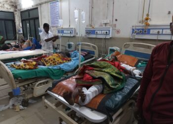 रानटी हत्तीच्या हल्यात हिदूर येथील तीन महिलांना गंभीर दुखापत