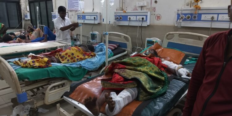 रानटी हत्तीच्या हल्यात हिदूर येथील तीन महिलांना गंभीर दुखापत