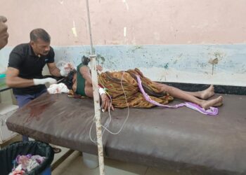 तेंदुपत्ता संकलन ला गेलेल्या 62 वर्षीय महिलेवर अस्वलाचा हल्ला