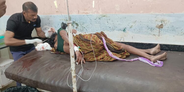 तेंदुपत्ता संकलन ला गेलेल्या 62 वर्षीय महिलेवर अस्वलाचा हल्ला