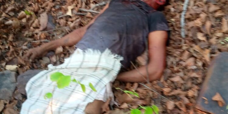 तेंदुपत्ता संकलनासाठी गेलेल्या आशिषचा वाघाने घेतला बळी