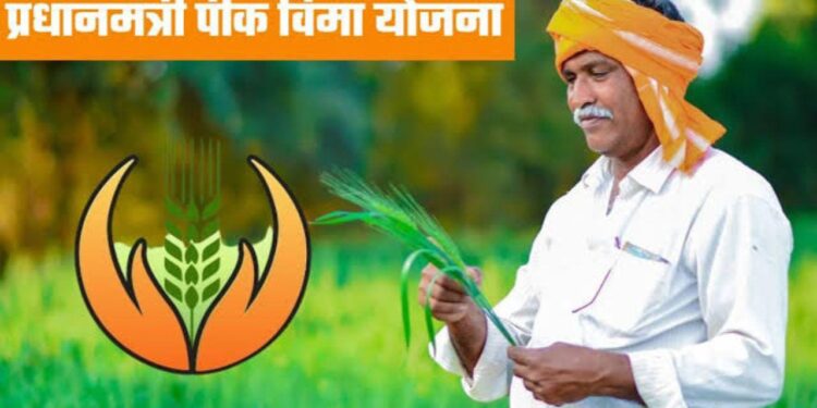 धान उत्पादक शेतकऱ्यांना पीक विमा मिळणार कधी?- अनिल निकेसर
