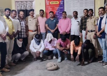 पुलगाव येथे खवल्या मांजराची विक्री करताना ६ आरोपींना रंगेहाथ पकडले