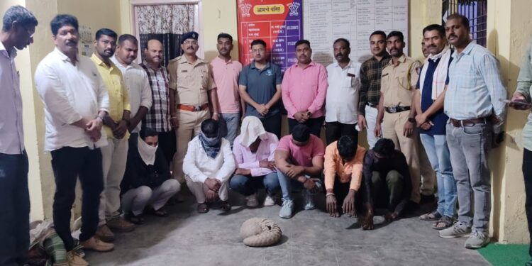 पुलगाव येथे खवल्या मांजराची विक्री करताना ६ आरोपींना रंगेहाथ पकडले