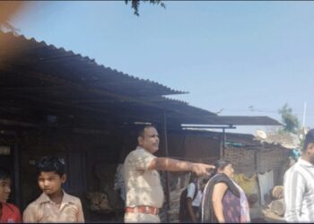 देवळीत मुलाने केली वडिलांची हत्या; आईचा जीव वाचवण्यासाठी उचलले टोकाचे पाऊल