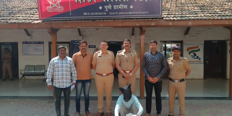 शिरूर पोलिसांच्या धडाकेबाज कारवाईत गांजा विक्री करणारा आरोपी जेरबंद