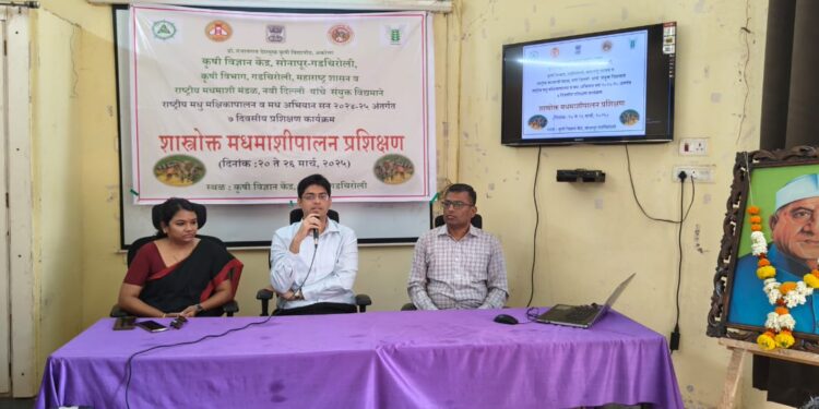 कमी गुंतवणुकीत अधिक नफा देणाऱ्या मधमाशीपालन व्यवसायाकडे वळा