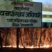 वणव्यामुळे मौल्यवान वनसंपदा भस्मसात;प्राणहिता वनपरिक्षेत्राचे दुर्लक्ष