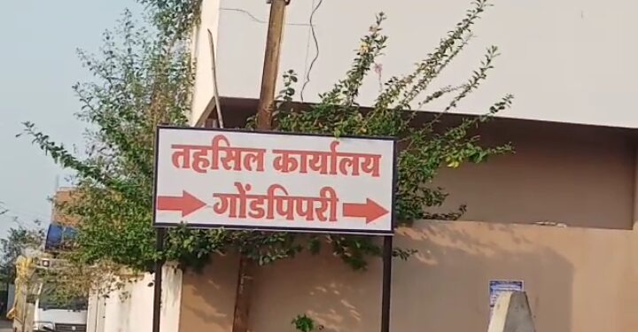 गोंडपिपरी तालुक्यात उद्योग उभारण्याच्या दृष्टिने शासनाच्या हालचाली