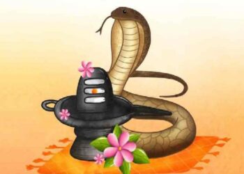 श्रावण महिन्याच्या पवित्र मासात साजरा होणारा एक महत्त्वाचा आणि श्रध्देचा सण म्हणजे नागपंचमी.