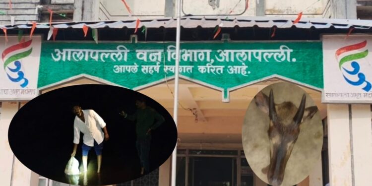 आलापल्ली वनविभागात आणखी एक शिकारीची घटना उघडकीस;वन्य प्राण्याचे अवयव सोडून आरोपी पसार
