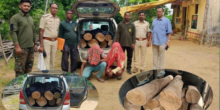 आलिशान वाहनातून सागवान तस्करी;३ लाखांचा मुद्देमालासह दोन आरोपींना अटक