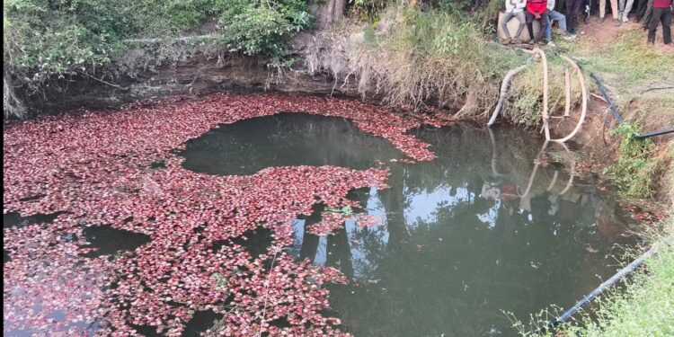 चाळीतून कांदा भरताना ट्रॅक्टर विहिरीत कोसळला; दोन चिमुकल्यांचा दुर्दैवी मृत्यू