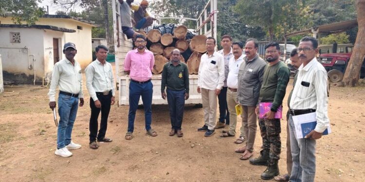 प्लास्टिक भंगाराच्या खाली सागवान तस्करीचा गोरख धंदा; गडचिरोलीच्या हिरवगार जंगलात चाललंय तरी काय?