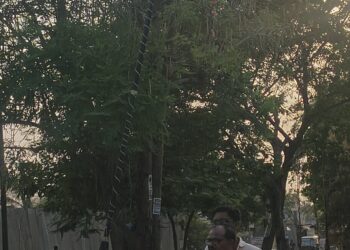 शासकीय निवासस्थानांच्या मधोमधच धोका; झुकलेला पथदिवा अपघाताला आमंत्रण