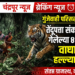 गुंजेवाही परिसरात खळबळ : तेंदूपत्ता संकलनासाठी गेलेल्या चार महिलांचा वाघाच्या हल्ल्यात मृत्यू