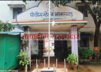 भामरागड पोलीस दलाचा सन्मान; उत्कृष्ट कामगिरीबद्दल महासंचालक पदकाने गौरव