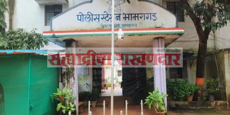 भामरागड पोलीस दलाचा सन्मान; उत्कृष्ट कामगिरीबद्दल महासंचालक पदकाने गौरव