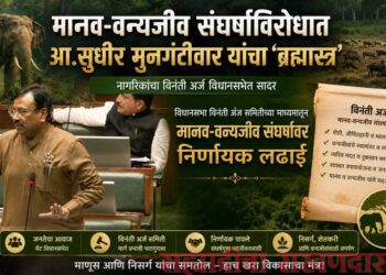 मानव-वन्यजीव संघर्षाविरोधात आ.सुधीर मुनगंटीवार यांचा ‘ब्रह्मास्त्र’