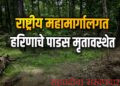 राष्ट्रीय महामार्गालगत हरिणाचे पाडस मृतावस्थेत; वनविभागाच्या पथकाची प्रतीक्षा