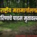 राष्ट्रीय महामार्गालगत हरिणाचे पाडस मृतावस्थेत; वनविभागाच्या पथकाची प्रतीक्षा
