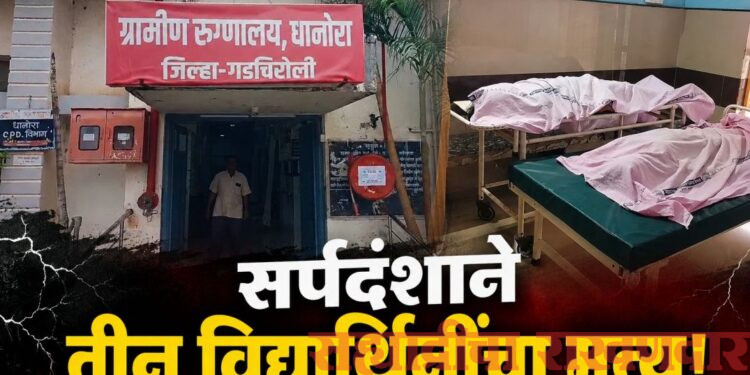 आश्रमशाळेत सर्पदंशाचा थरार; तीन विद्यार्थिनींचा दुर्दैवी मृत्यू!