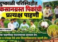 दुष्काळी परिस्थितीत नुकसानग्रस्त पिकांची प्रत्यक्ष पाहणी
