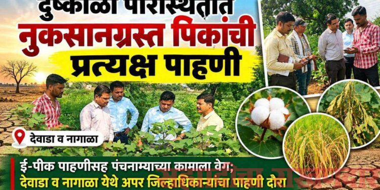दुष्काळी परिस्थितीत नुकसानग्रस्त पिकांची प्रत्यक्ष पाहणी
