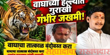 वाघाच्या हल्ल्यात गुराखी गंभीर जखमी; तातडीने बंदोबस्त करण्याची मागणी