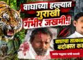 वाघाच्या हल्ल्यात गुराखी गंभीर जखमी; तातडीने बंदोबस्त करण्याची मागणी