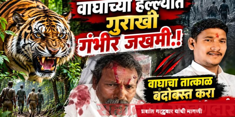 वाघाच्या हल्ल्यात गुराखी गंभीर जखमी; तातडीने बंदोबस्त करण्याची मागणी